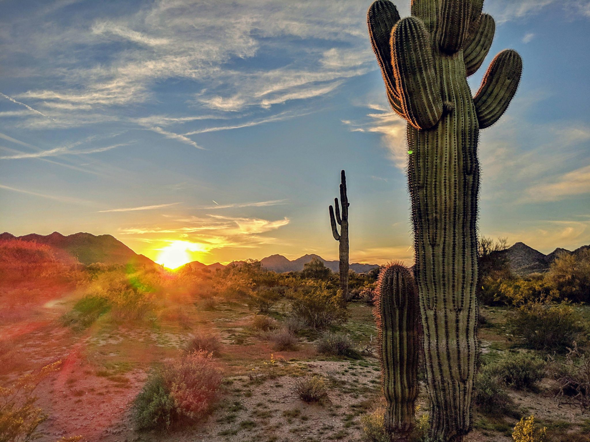 About Us Paper Cranes Healthcare